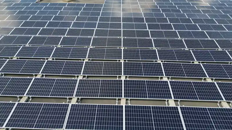 Campo de módulos fotovoltaicos alineados en hileras, visto en escorzo